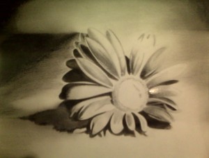 Chloe's Flower - Pencil Sketch