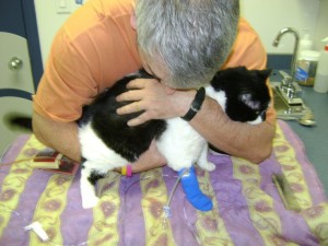 Bailey, right after his IV was reconnected